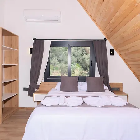 Villa Cinar & Pinar